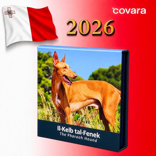 Euro malta 2026 - euro,